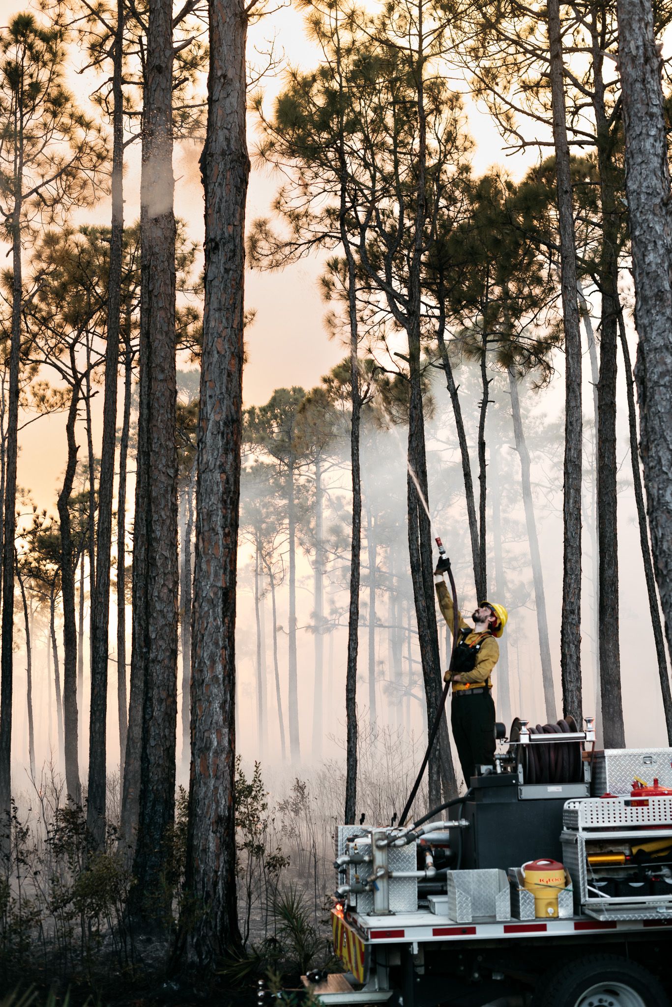 Forestry equipment positioned among tall pines during a controlled burn operation.