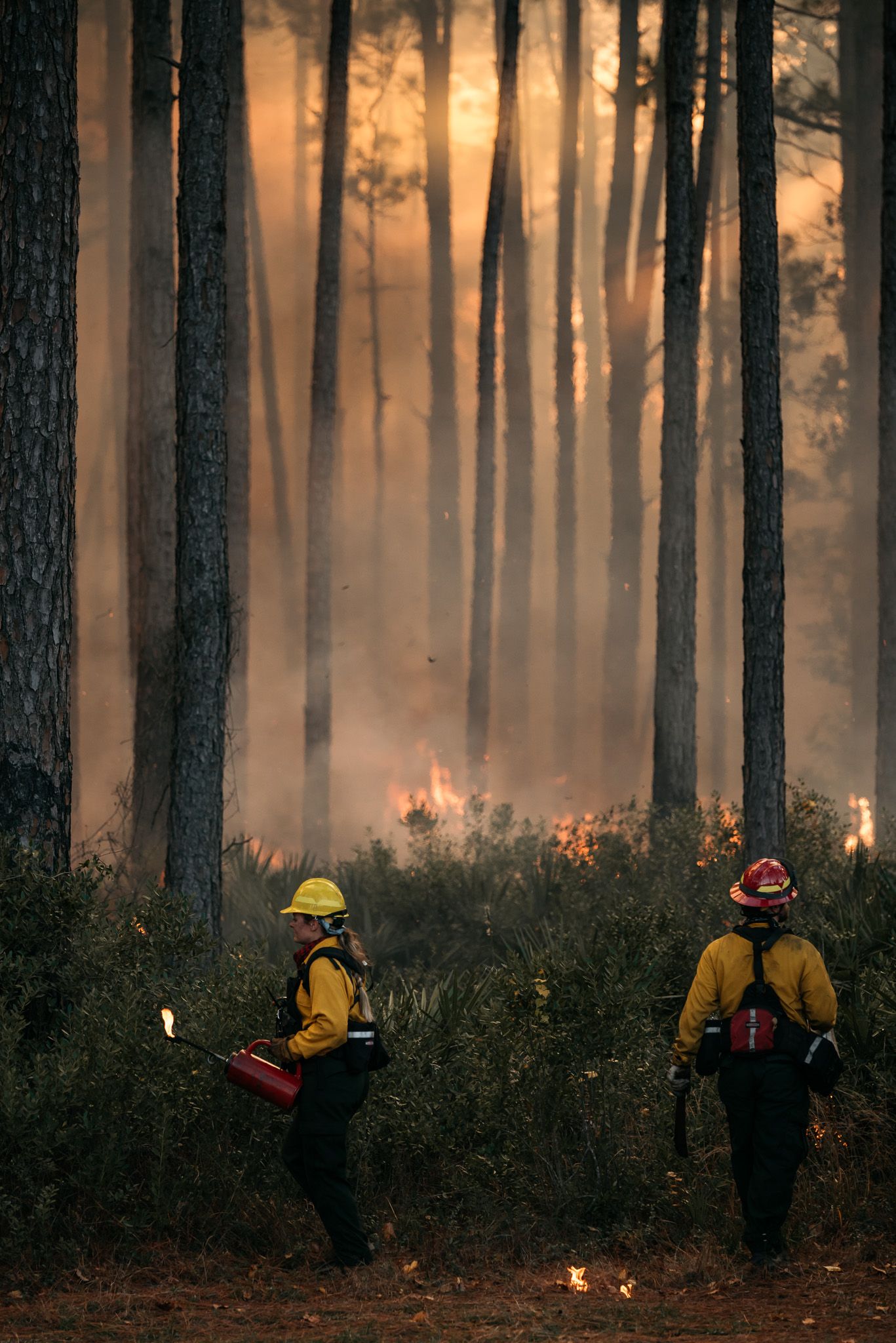Firefighters in yellow protective gear monitor a forest fire with smoke and flames visible through the trees.