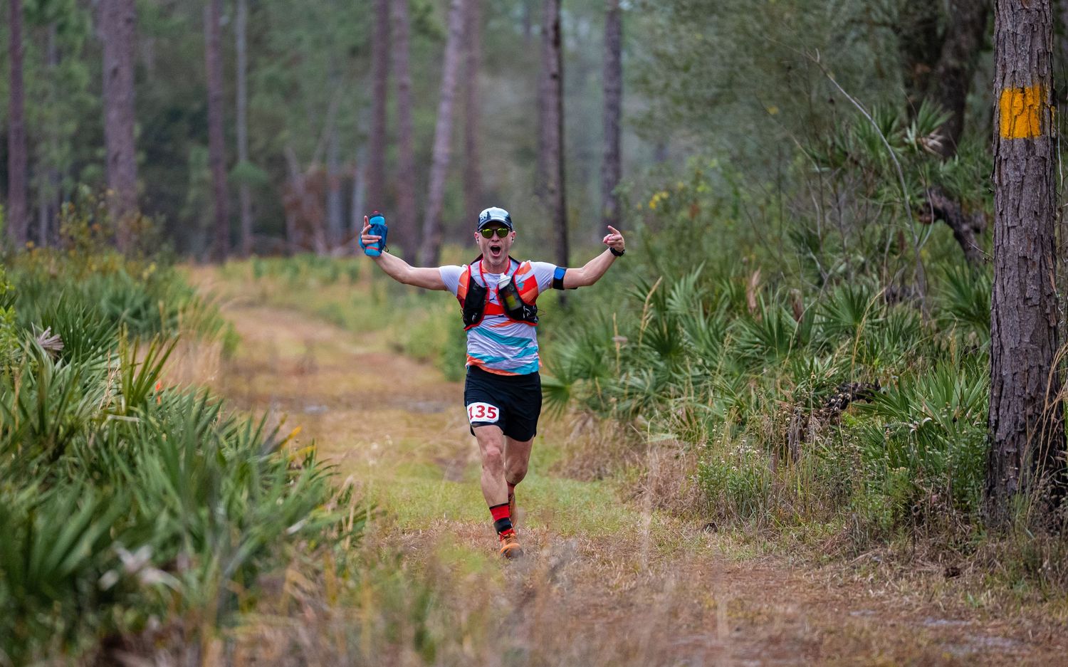 Trail runner enjoying a scenic path through a pine forest with palmettos during an endurance race.