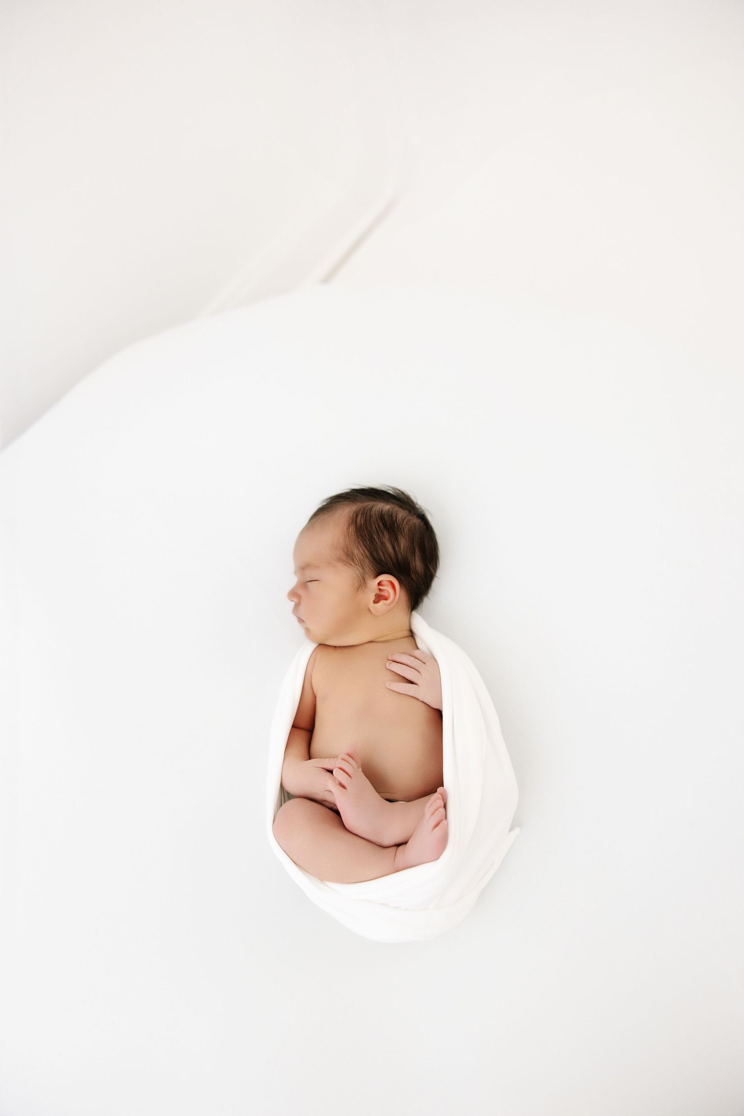 Artistic newborn photography featuring soft white fabric and minimalist composition.