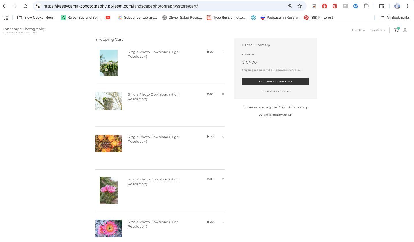 how to order colorful, digital Sonoran desert photography from rural Marana, Arizona photographer