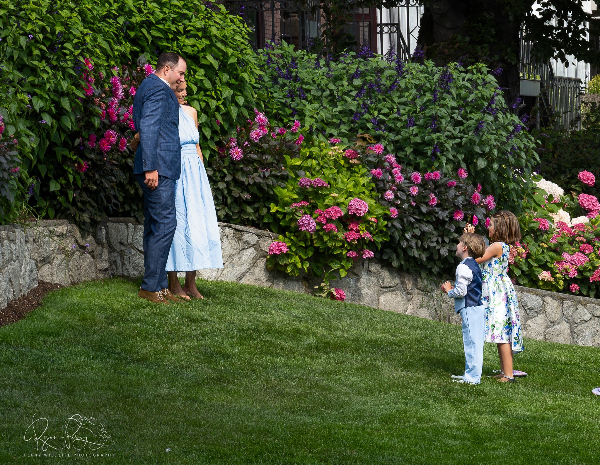 A multi-photo sequence of siblings playing hide and seek among blooming pink roses and stone walls in a garden.