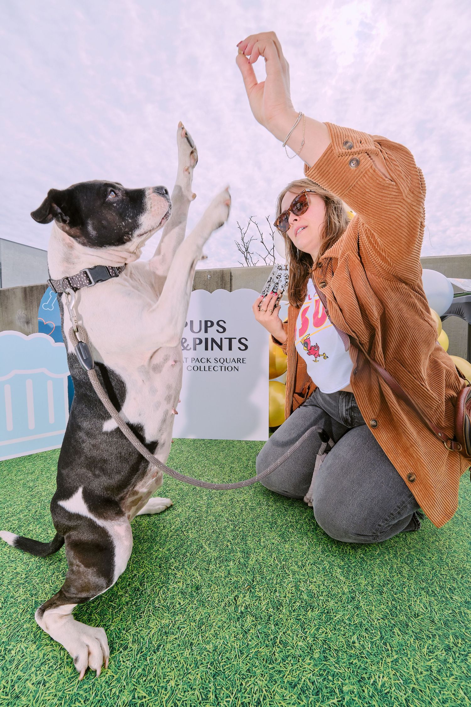 Someone poses with a small brown dog against a colorful orange and yellow balloon background at a Pups & Pints event.