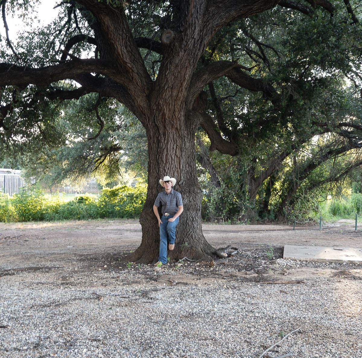 A figure in western attire stands beside a majestic old oak tree on a gravel-covered ground.