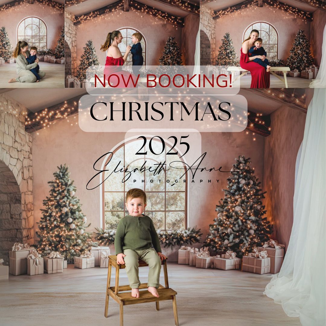 Festive Christmas photography studio setup with multiple decorated trees, white chair, and fairy lights in pink-toned room.