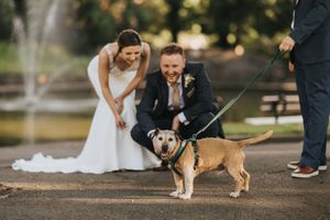A couple in wedding attire bends down to greet their tan and white dog on a path by a water fountain.