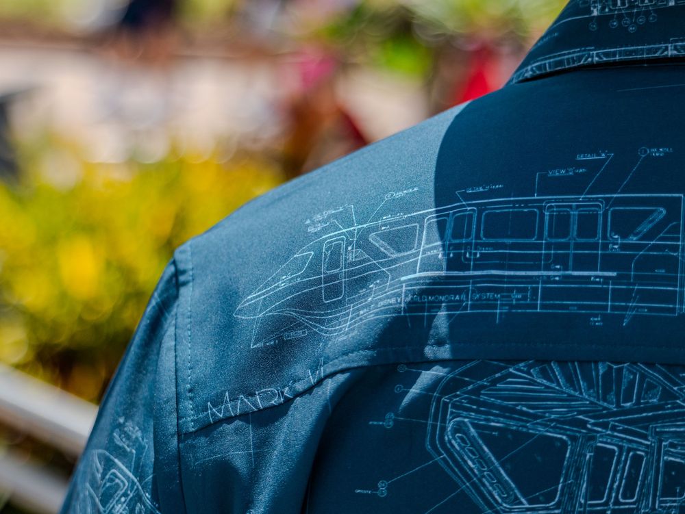 Close-up view of a blue patterned shirt detail against blurred natural background.