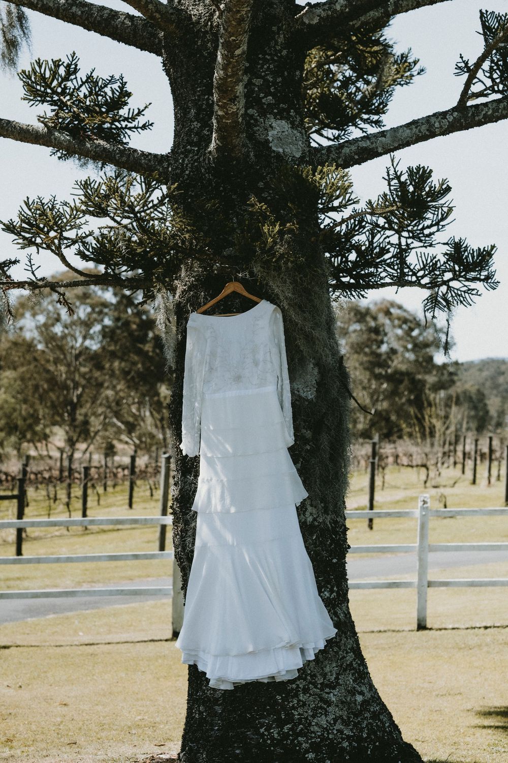 Cooper Brady Photography — photo 10 of 18