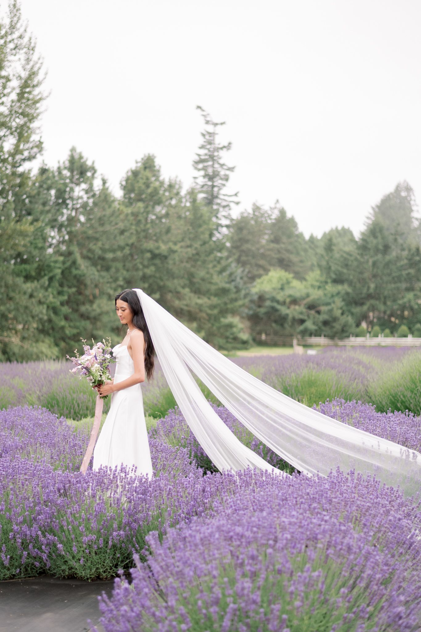 A bride in a white gown with flowing veil stands among vibrant purple lavender fields on her wedding day.
