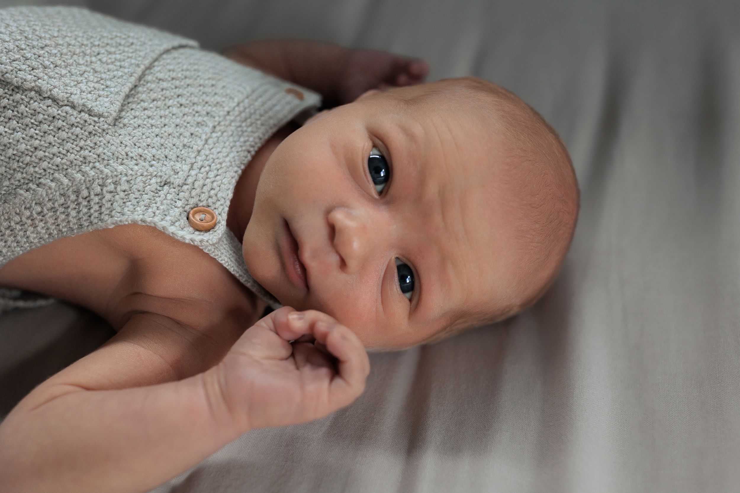 Close up portraits of a baby in various poses on a light gray background.