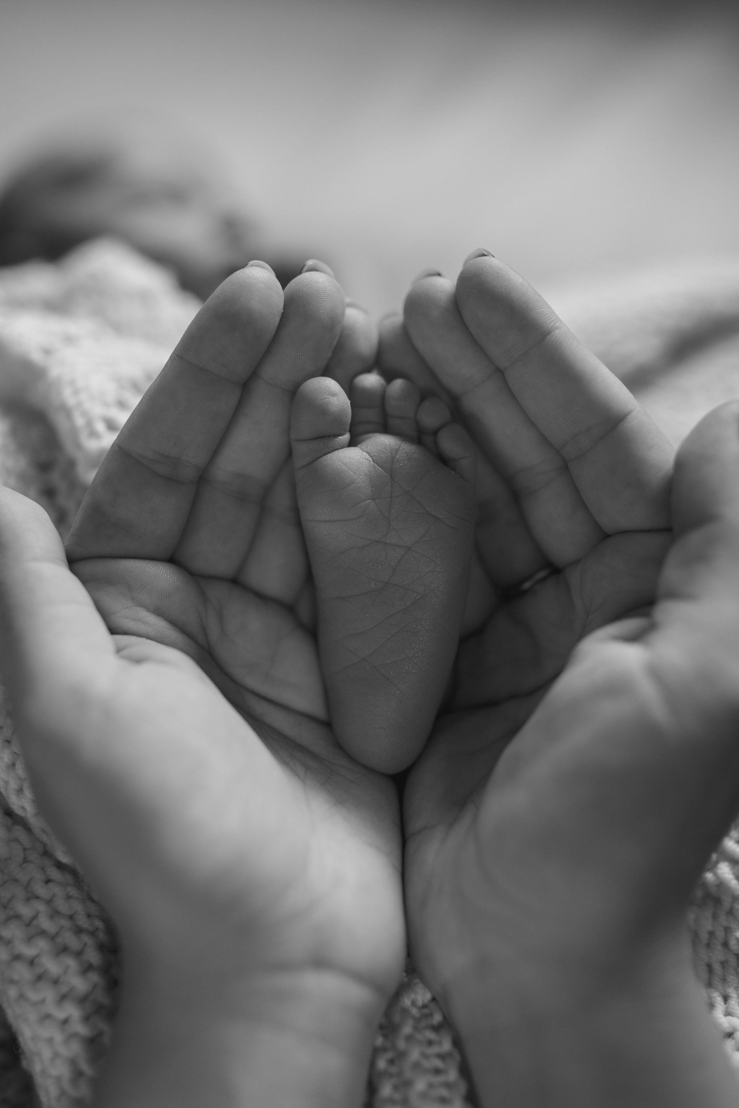 A tiny baby foot cradled gently between adult hands in a tender black and white photograph.