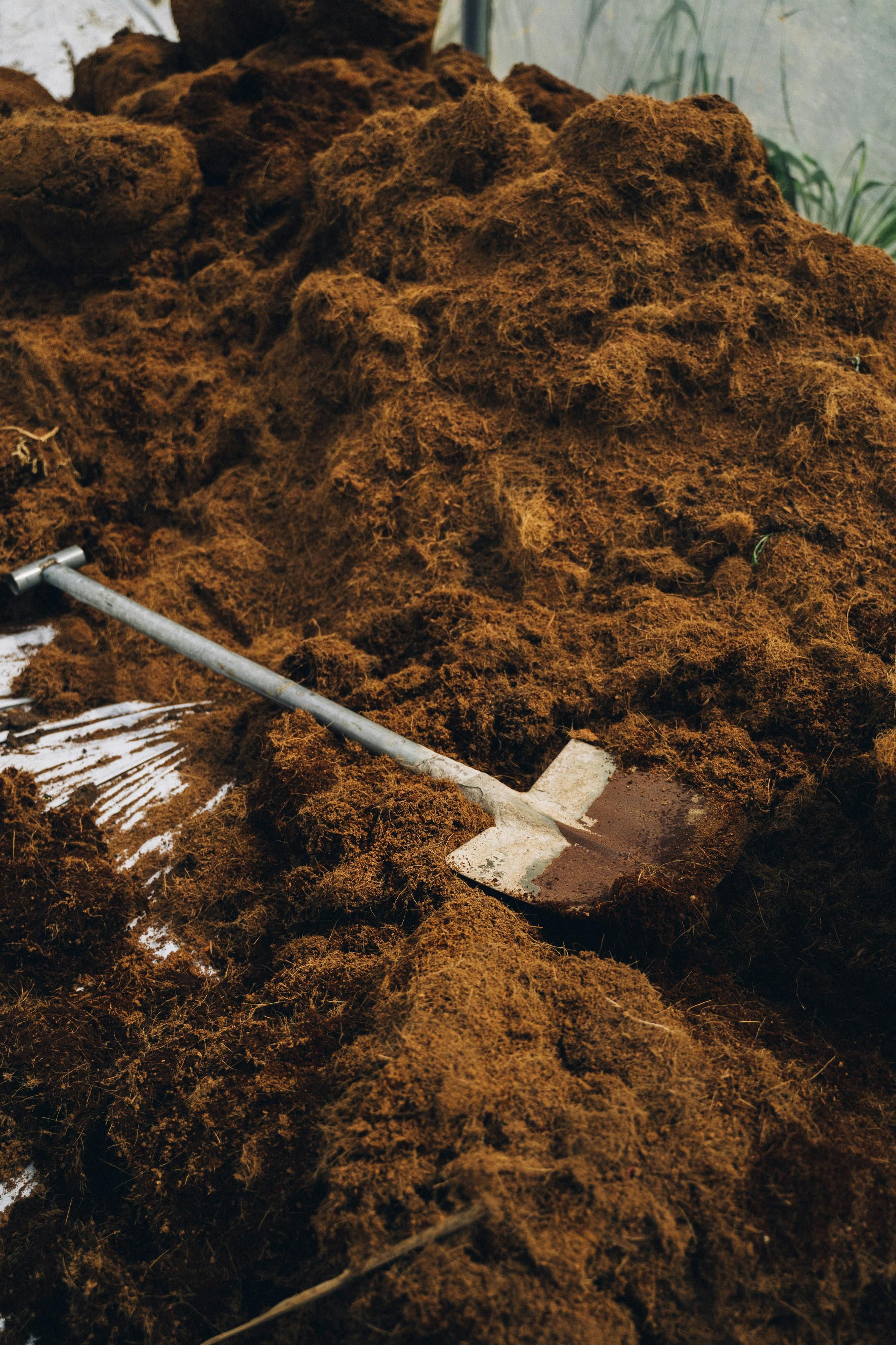 Garden tools rake and shovel lying on fresh brown soil or compost pile in gardening setting.