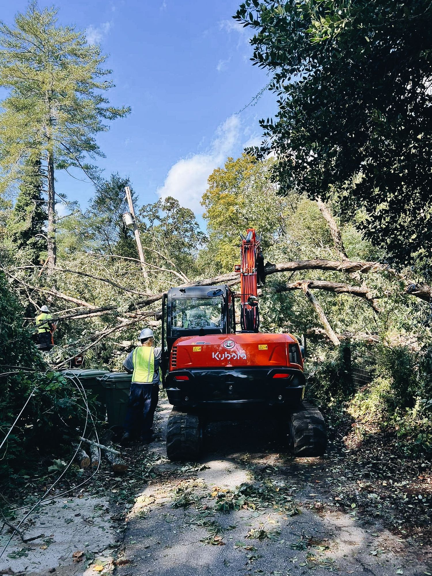 Red excavator clearing fallen trees and branches from a wooded path on a sunny day.