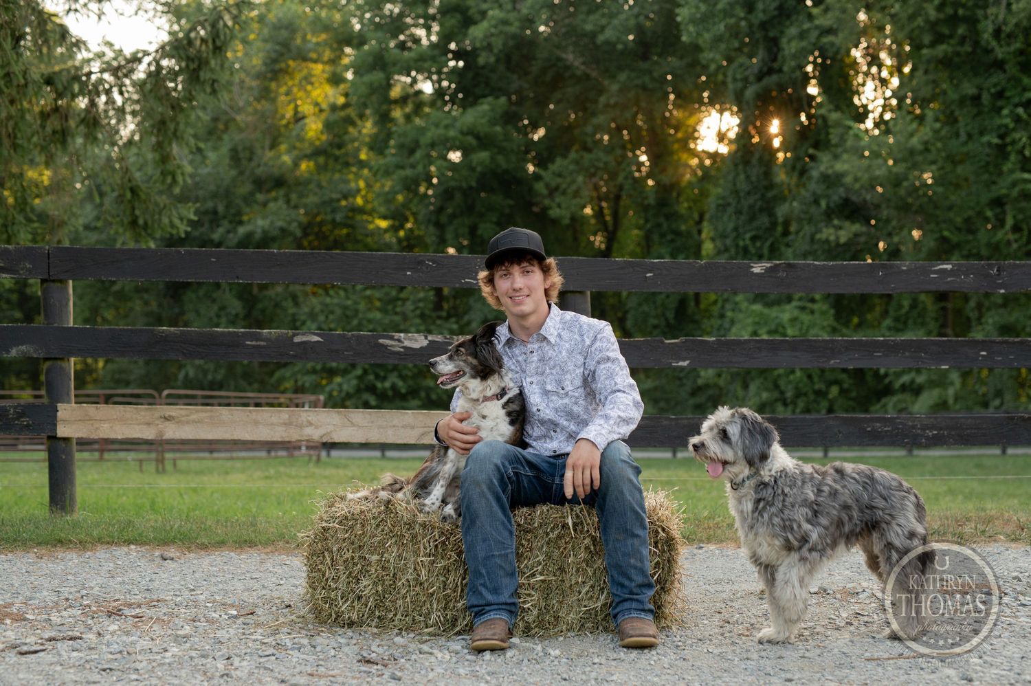Two small dogs pose with someone sitting on a hay bale near wooden fencing.