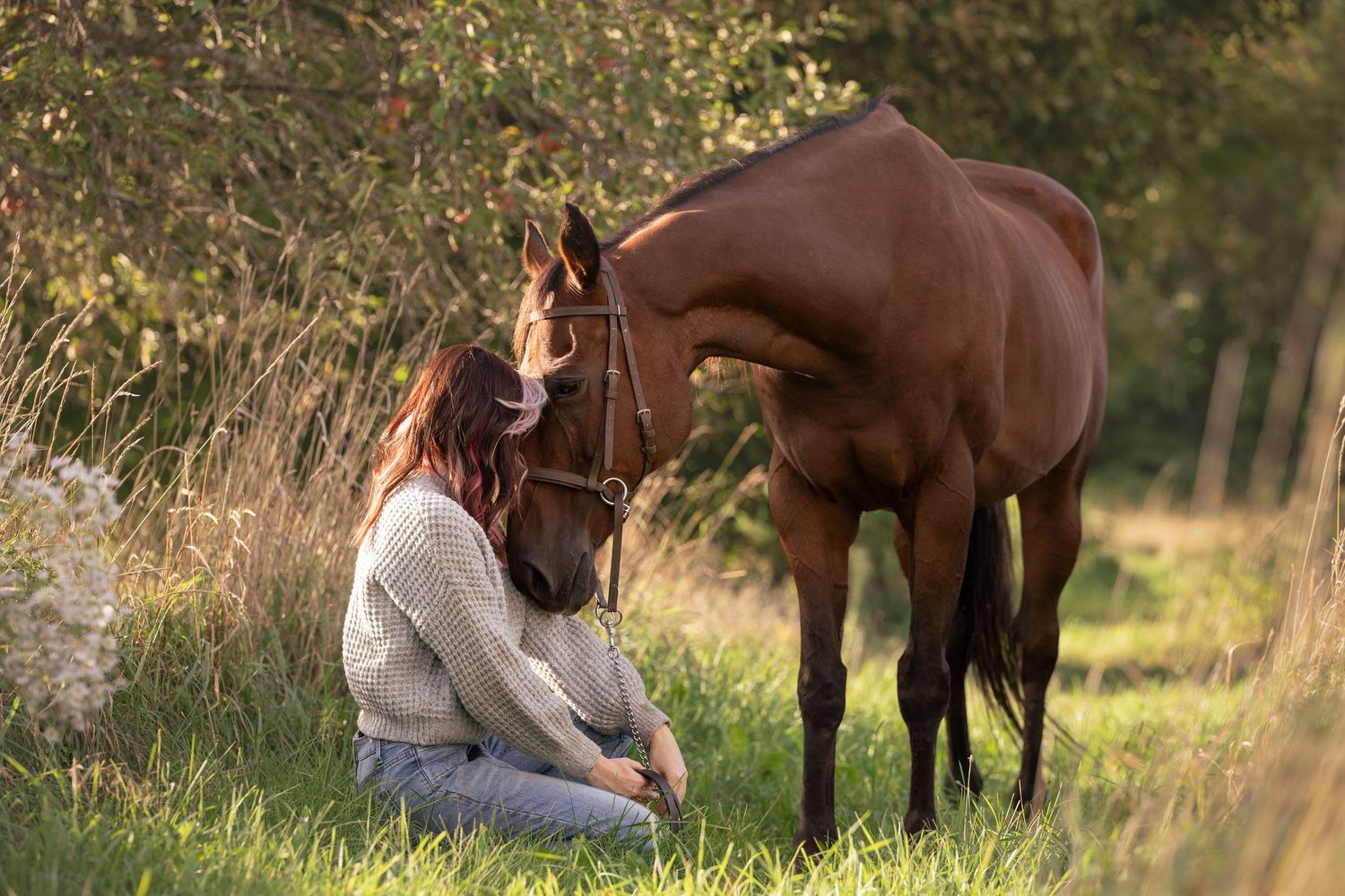 A woman sits in green grass bonding with a chestnut brown horse in a sunlit outdoor setting.