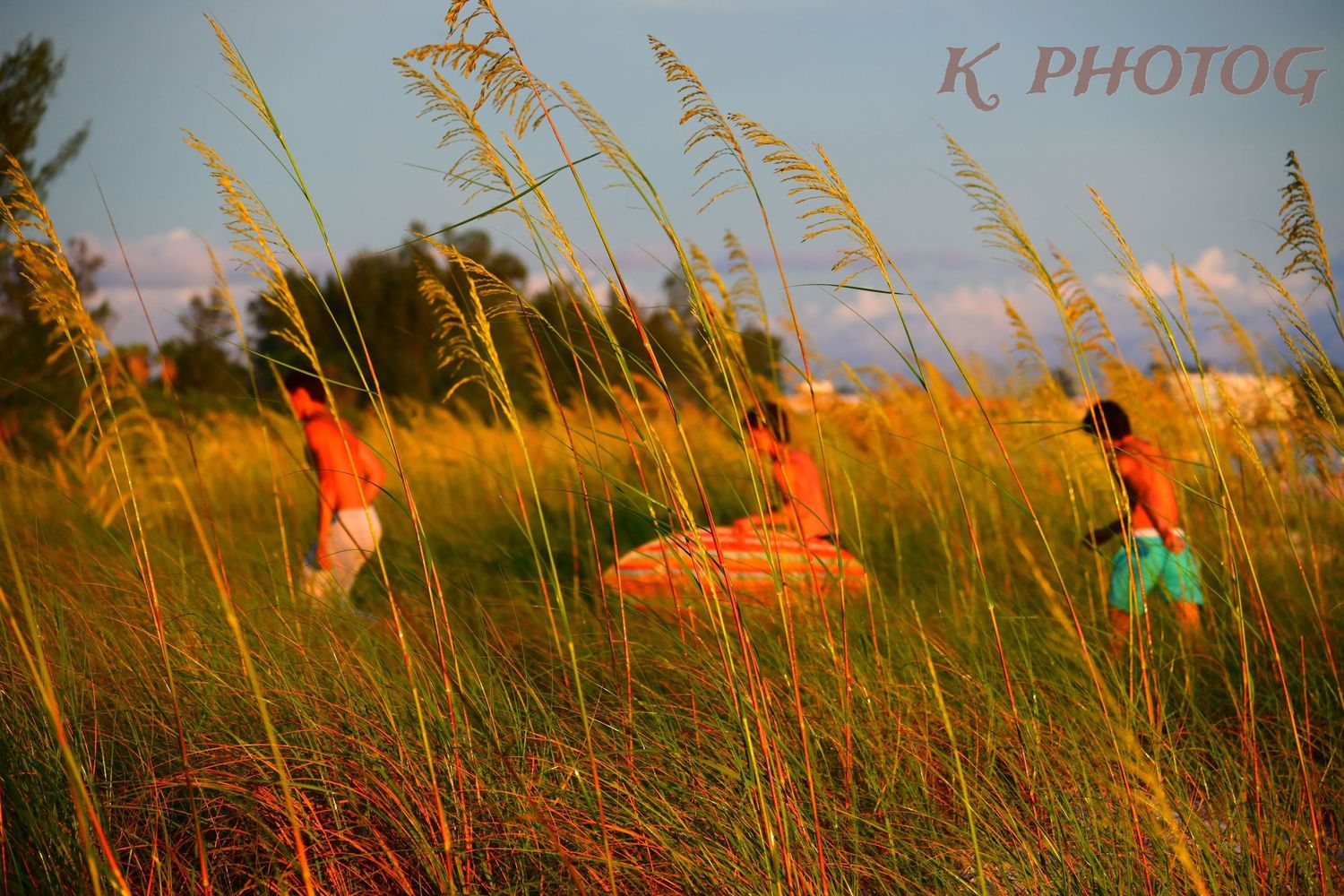 Three surfer boys carrying their surfboards run behind a cluster of sea oats.