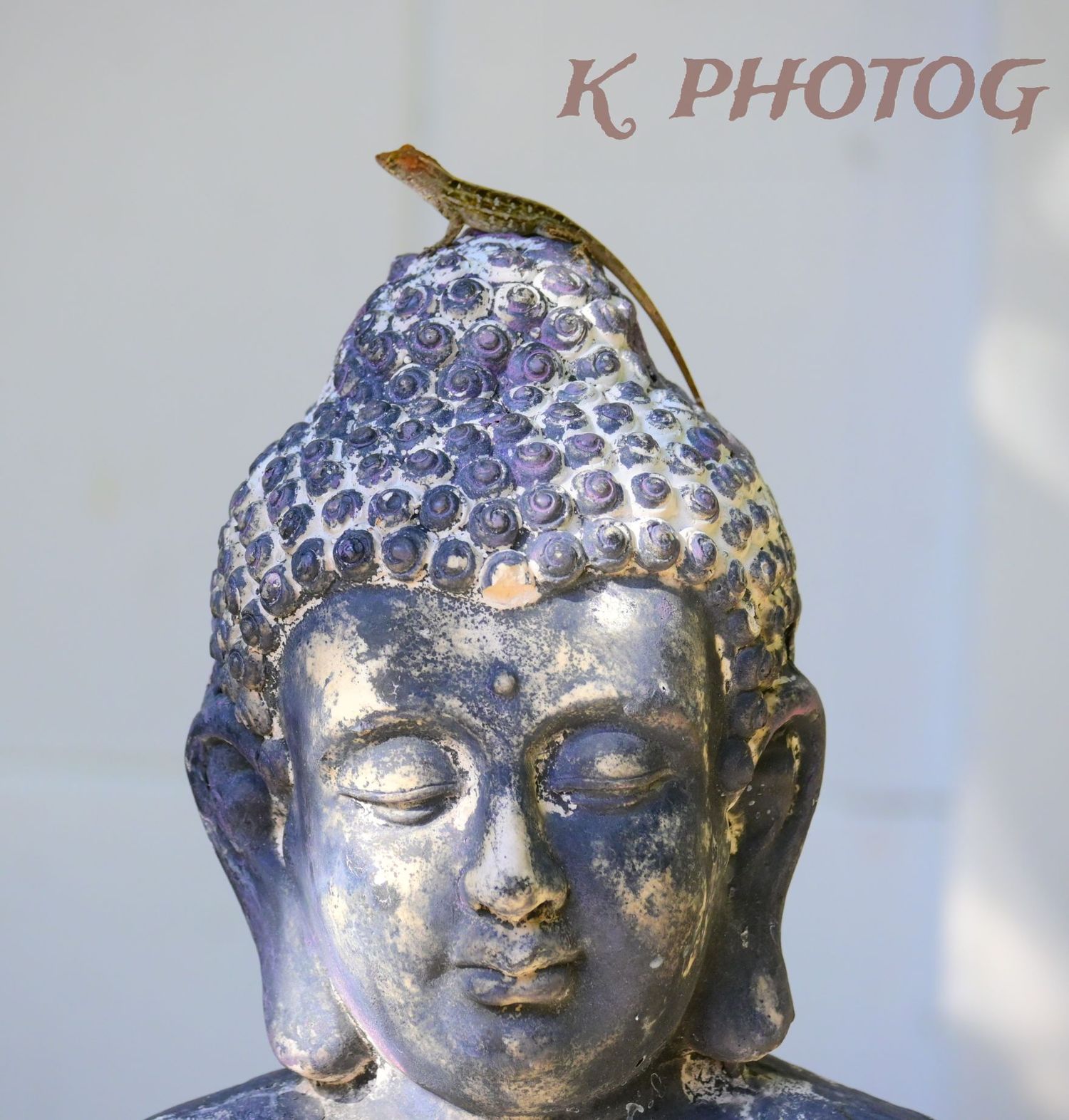 A gecko seeks sunshine on top the head of an unidentified statue of worship.
