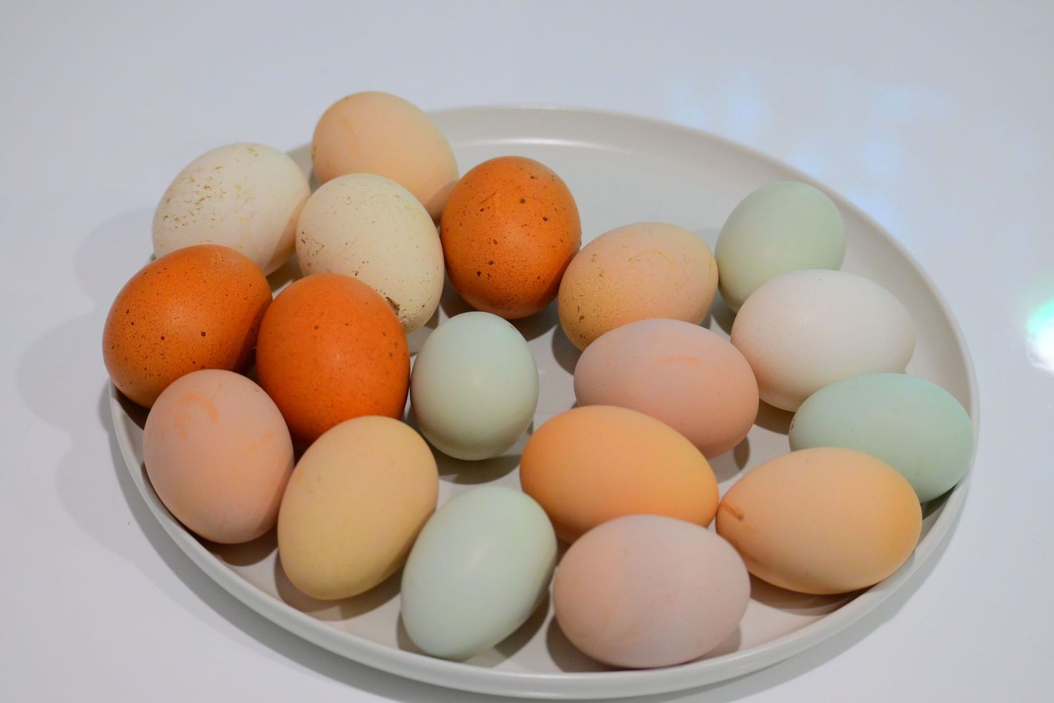 A white plate filled with farm fresh eggs in pastel colors.