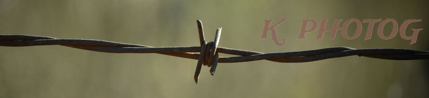 A rustic barbed wire fence stretches across a green field against a soft-focus pastoral landscape background.