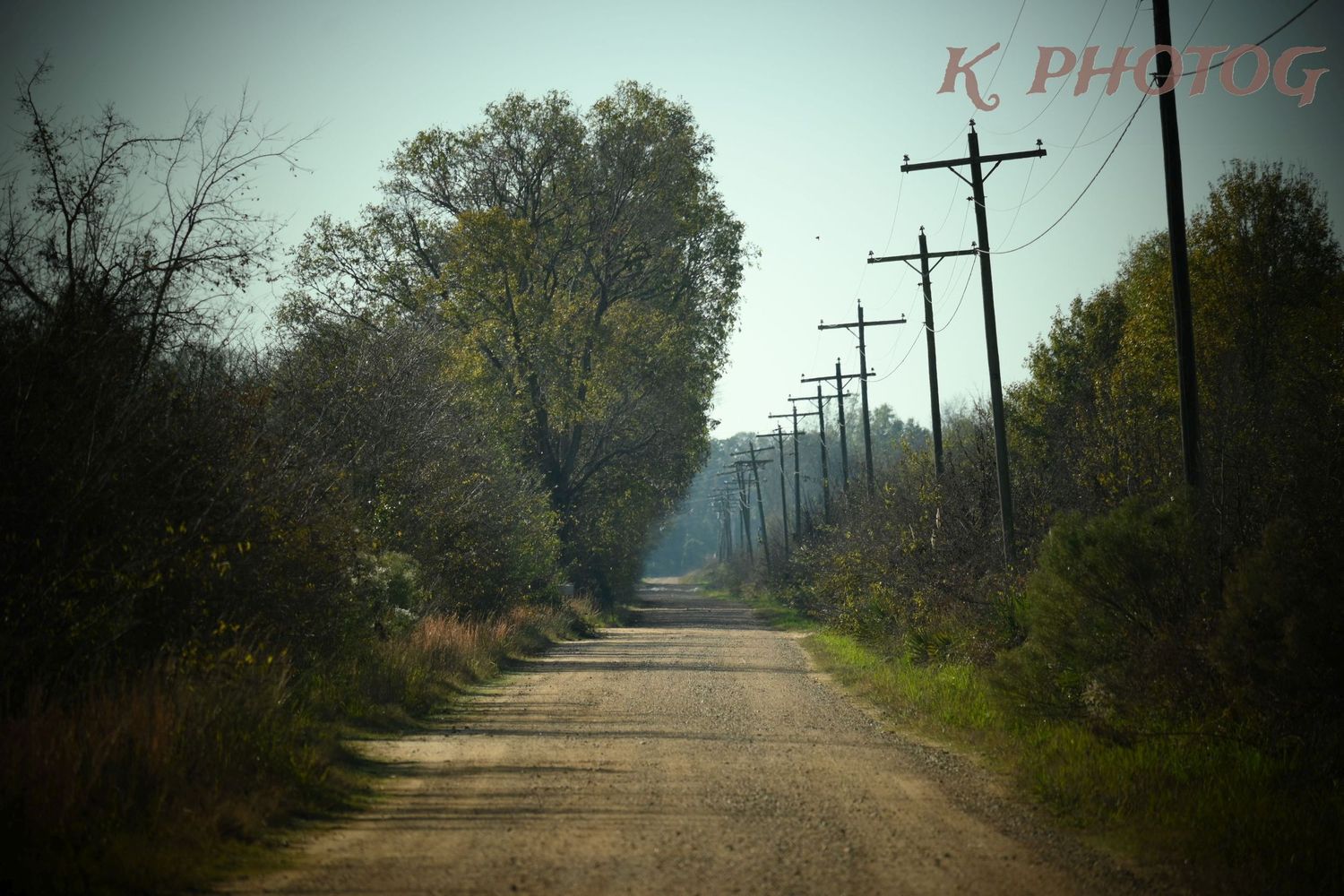 A dirt road stretches into the distance with utility poles and autumn trees lining both sides on a misty day.