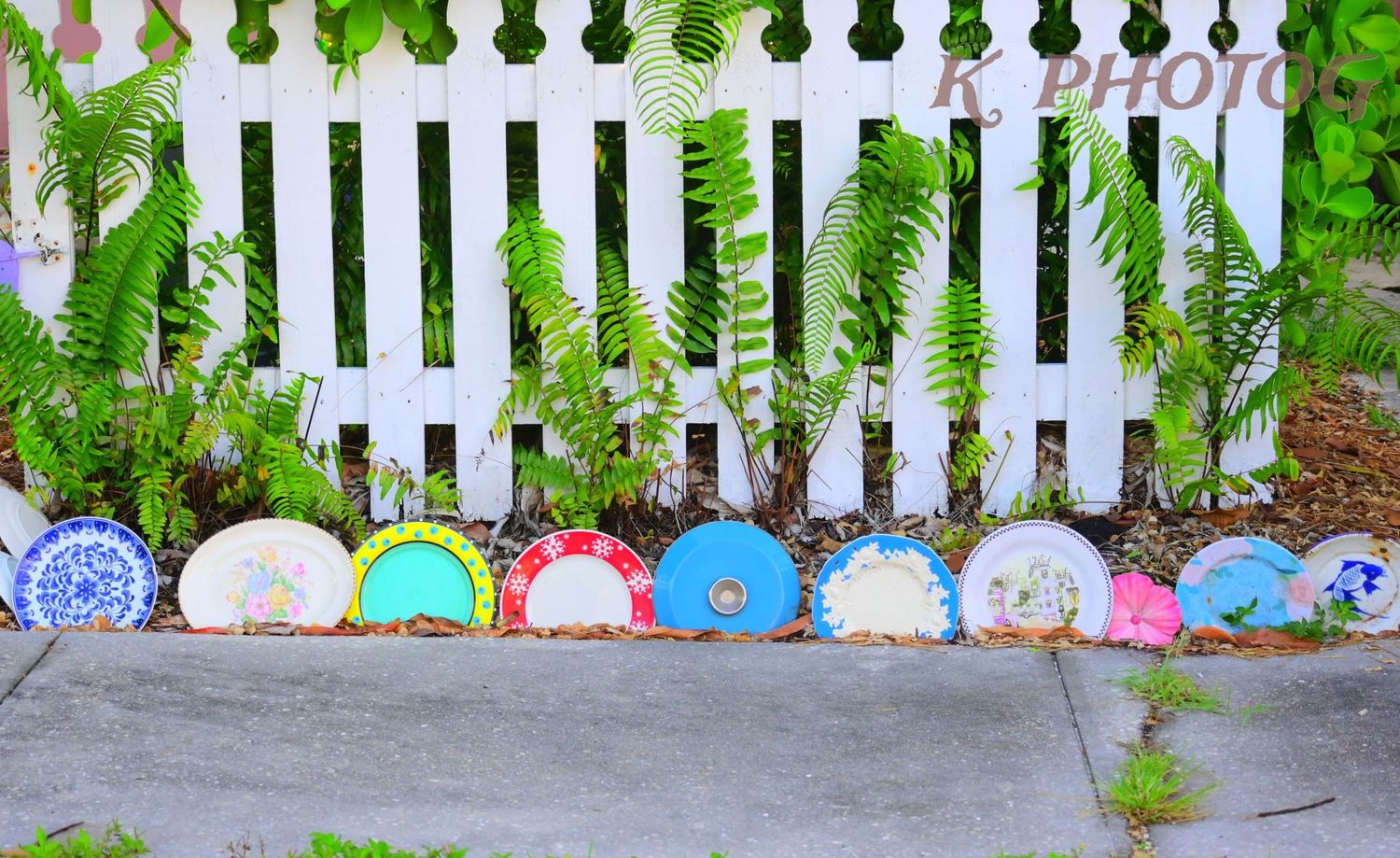A white picket fence with a row of old plates, each half buried in the ground, in front.