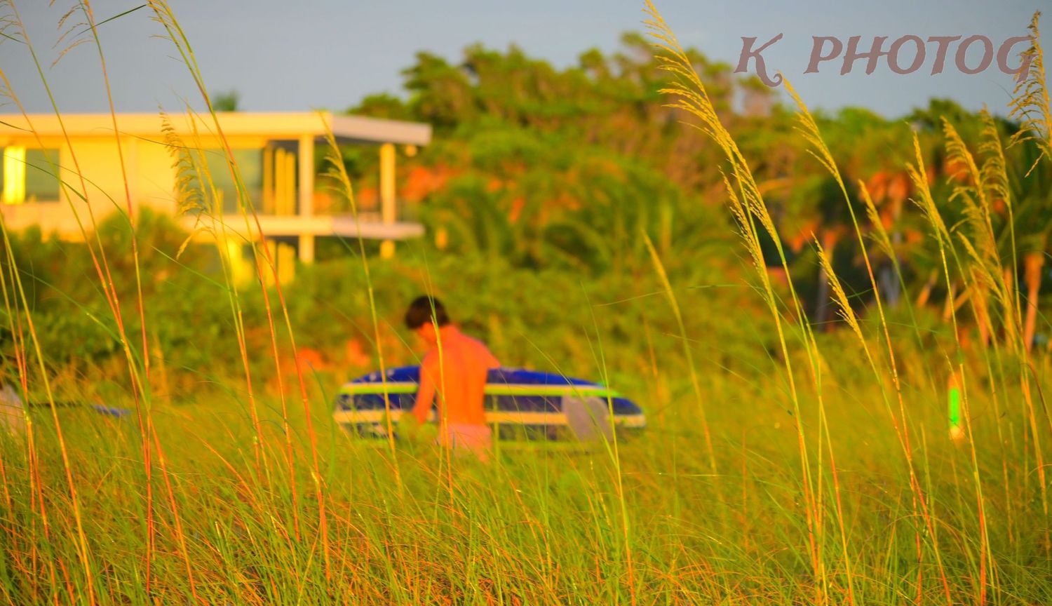 Surfer walking through sea oats on the beach