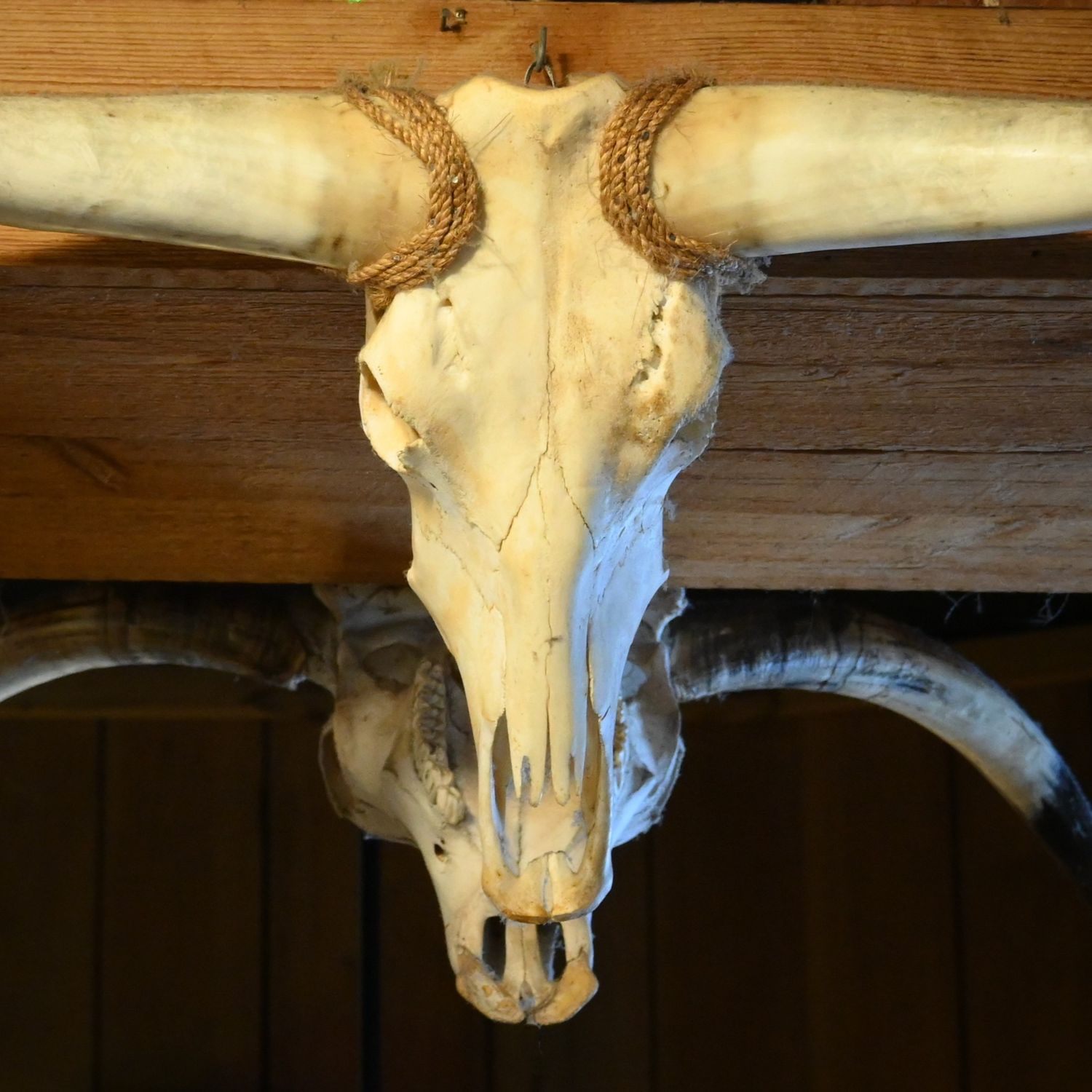 A longhorn cow skull hung over a door way on each side gives the illusion of a mirror.