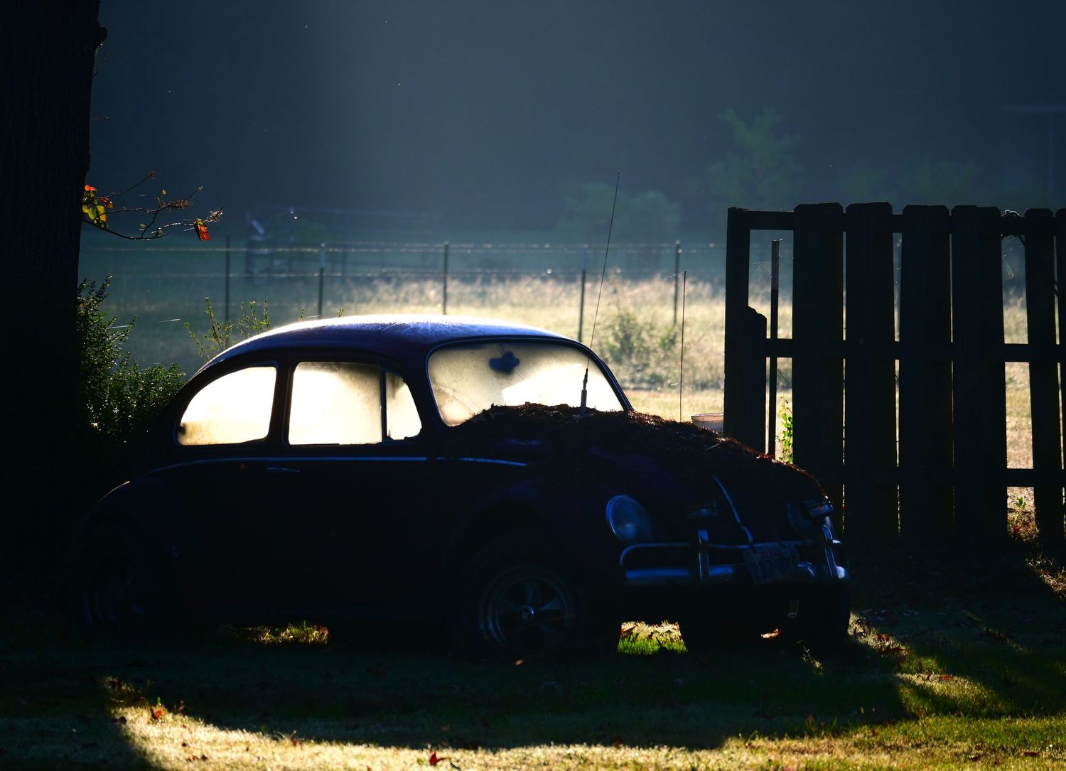 And old car sits in the early morning sun, causing mist to rise from the warmed roof.