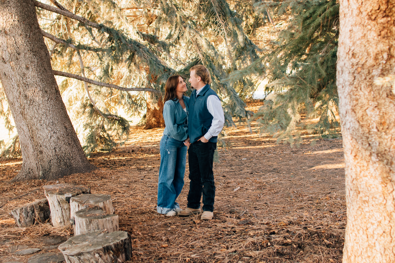People walking along a tree-lined path covered in fallen pine needles during a sunny autumn day.