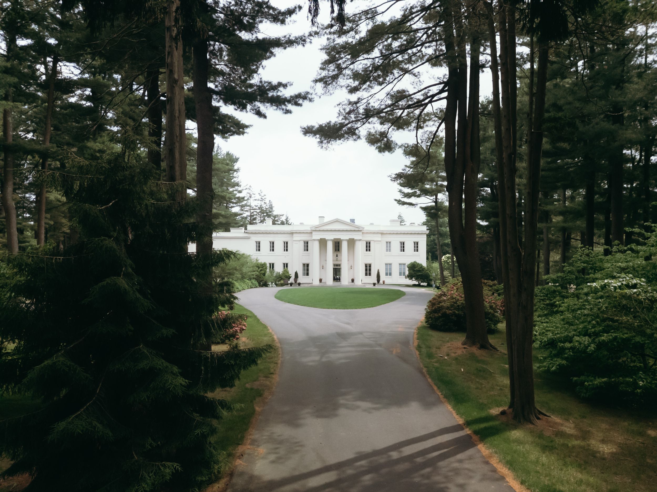 A winding tree-lined driveway leads to a grand white mansion visible in the distance.