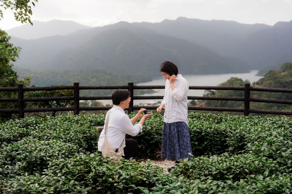 People enjoying scenic views at a misty mountain tea plantation with lush green tea plants stretching into the distance.