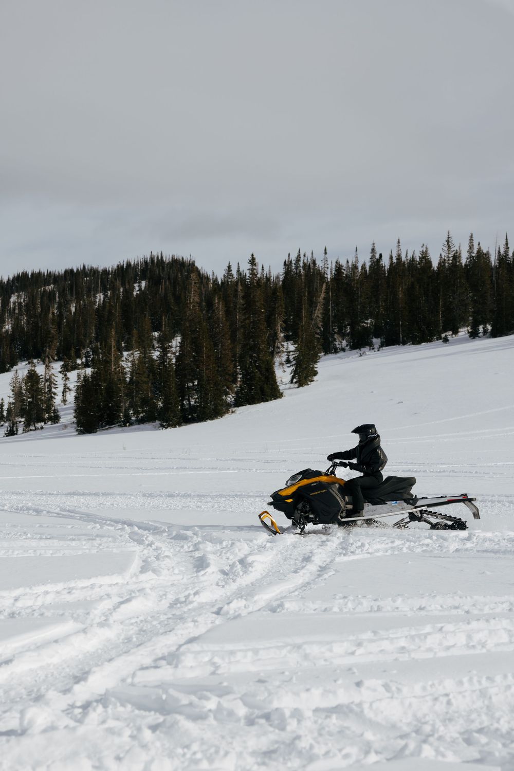 A snowmobiler rides a yellow and black snowmobile across a snowy slope with evergreen trees in the background.