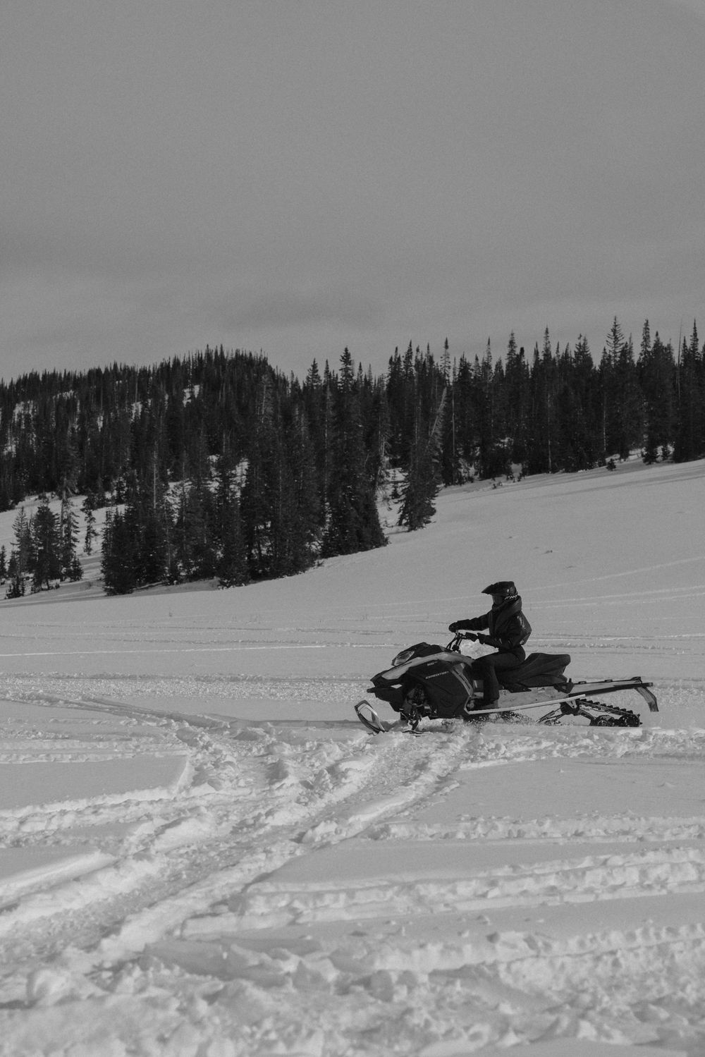 A snowmobiler rides across a snowy slope with evergreen forest and mountains in the background in black and white.