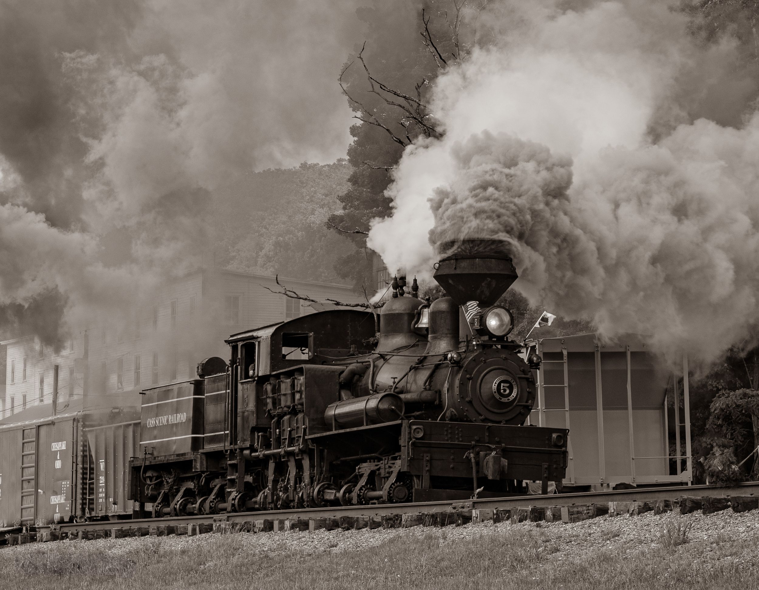 A vintage black and white panoramic photograph shows multiple steam locomotives lined up on railroad tracks.