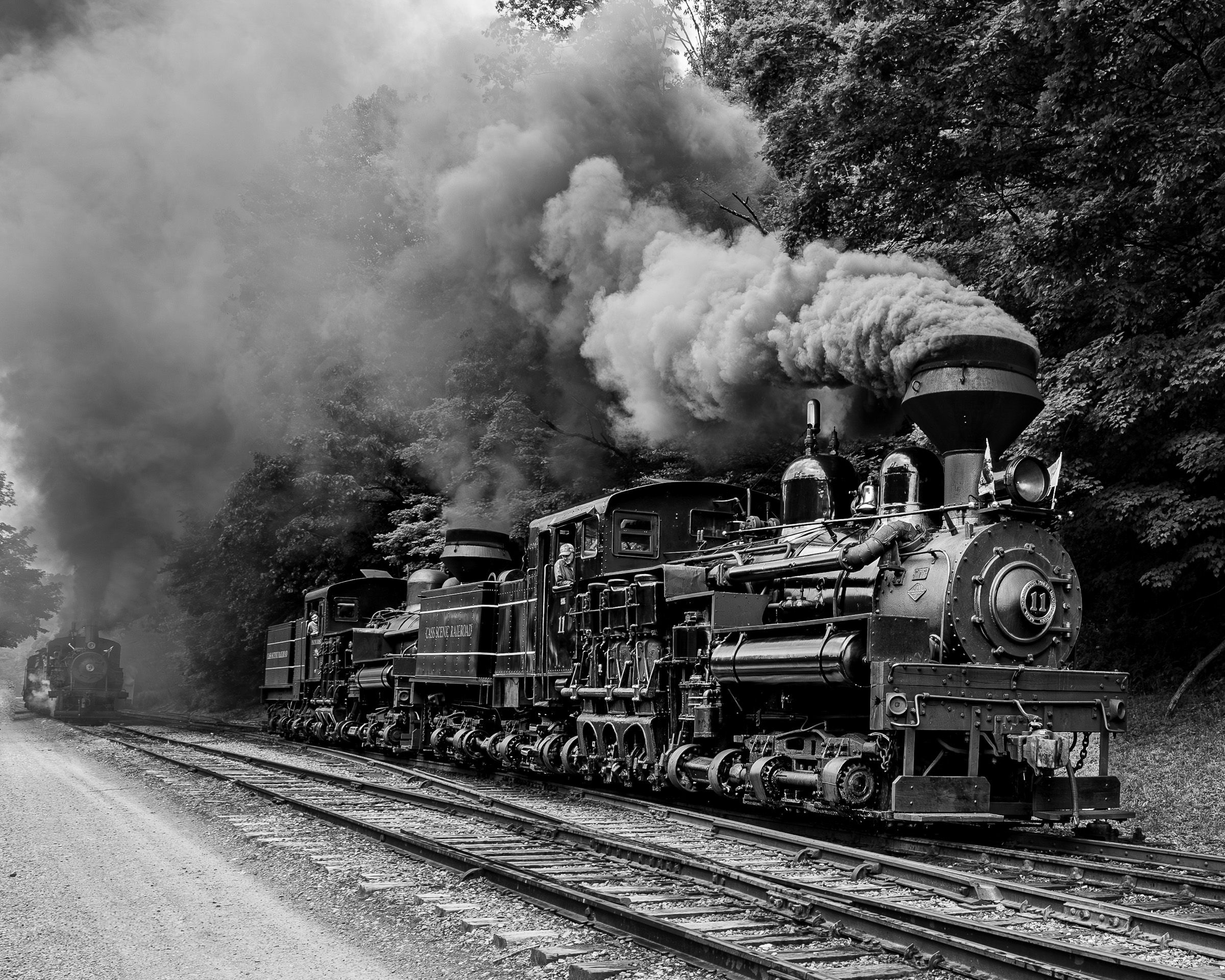 A series of vintage black and white photographs showing steam locomotives operating on railway tracks through wooded areas.