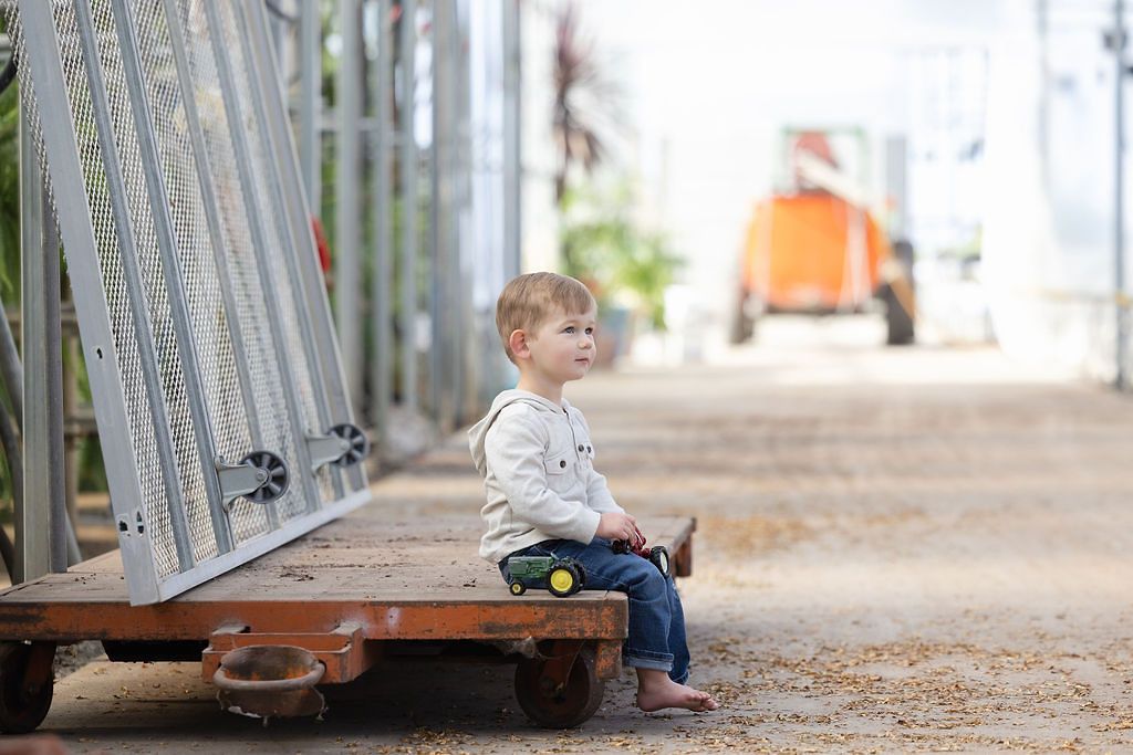 A series of candid outdoor photographs showing a young child playing with toys on a wooden deck.