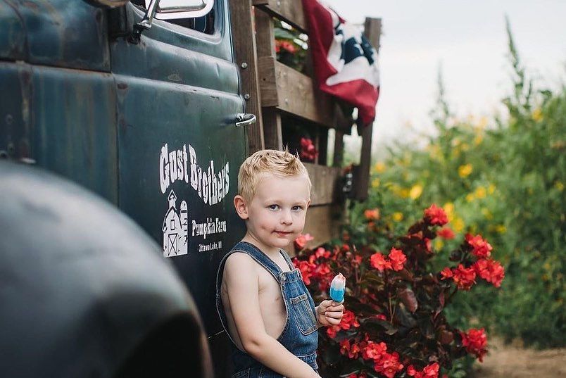 A child stands by vibrant red flowers near a rustic wooden fence on a sunny day.