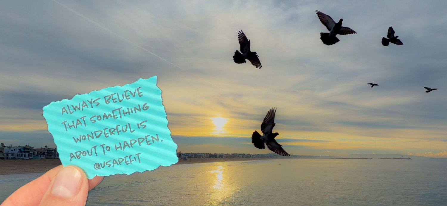 Silhouettes of birds flying against a dramatic sunset sky over water with a turquoise note held up in the foreground.