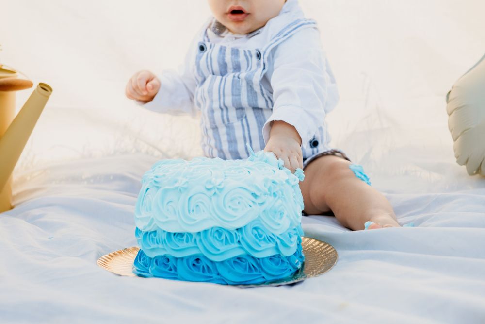 Fotografia de Familia, Smash the Cake, Porto