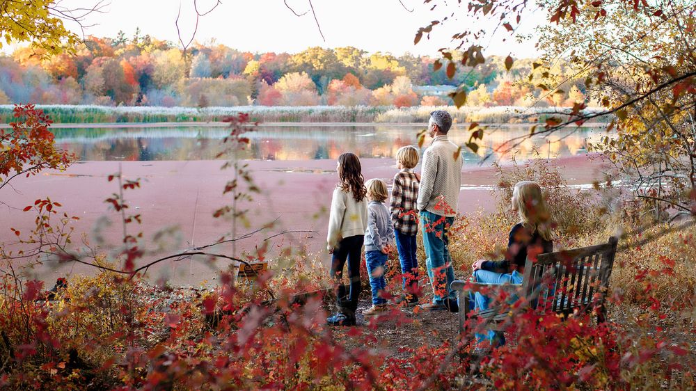 Bergen County family photographer session by lake in Allendale nj family looking at water