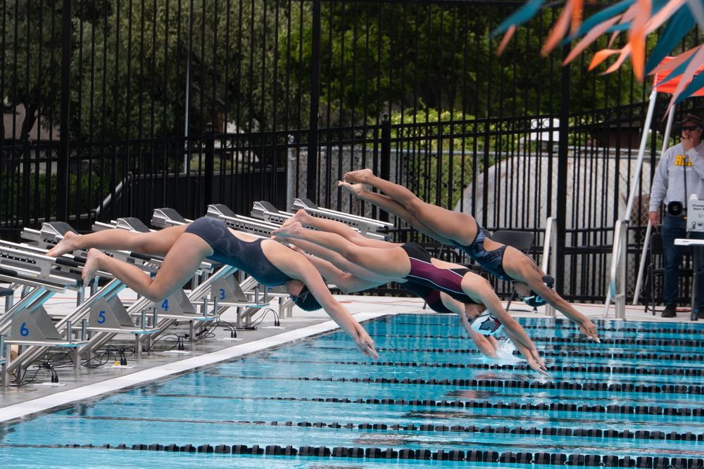 Multiple swimmers diving simultaneously into a swimming pool at the start of a competitive race.