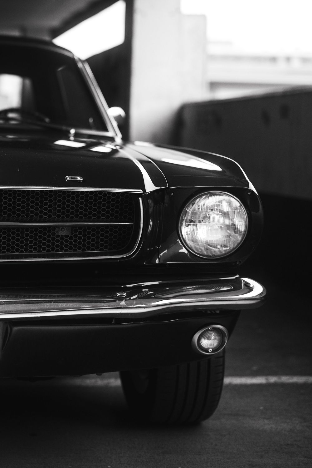 Mustang w tle, sesja zapoznawcza Warszawa