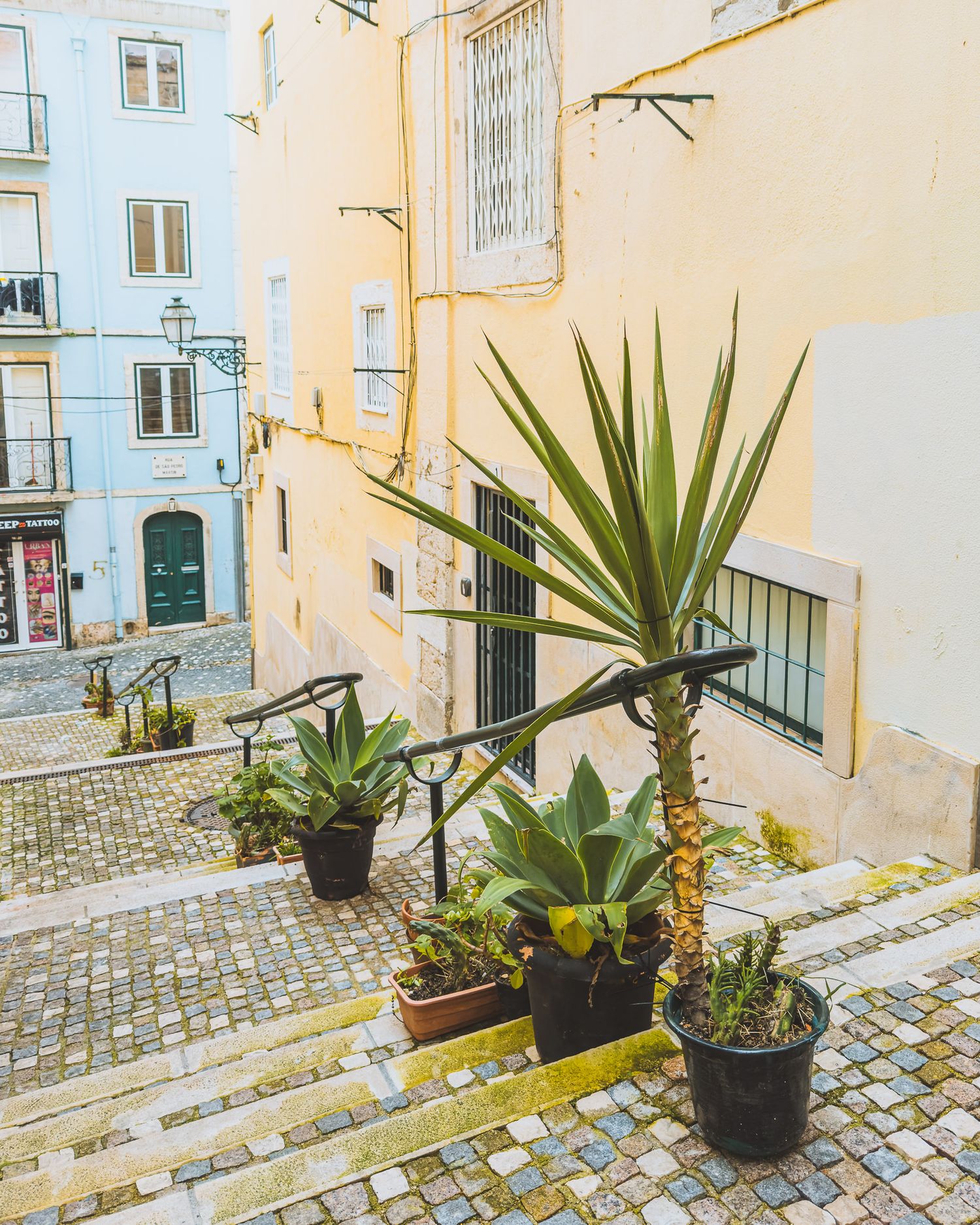 Steep cobblestone street with potted palm plants and pastel-colored buildings. Lisbon.
