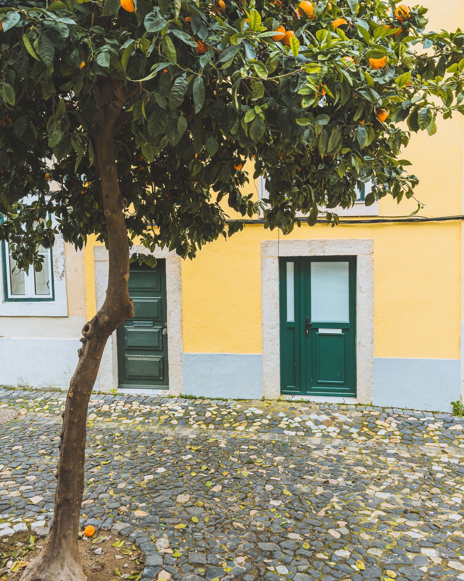 Orange tree in front of yellow building with green doors and cobblestone ground.