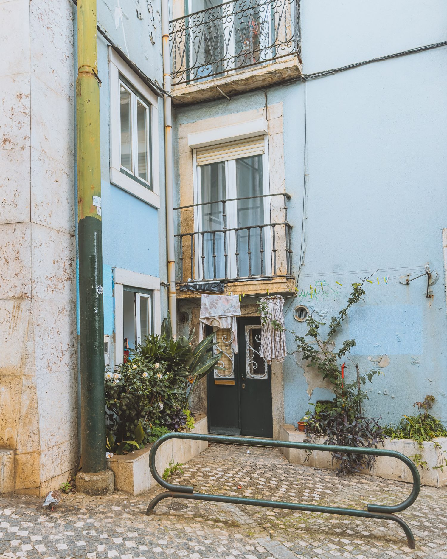 Quaint blue building entrance with potted plants and wrought iron details in historic neighborhood.