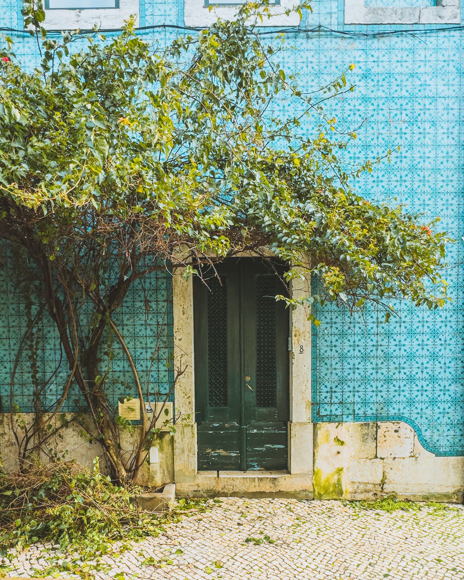 Blue tiled wall with green shuttered windows and autumn leaves in Portuguese architecture.