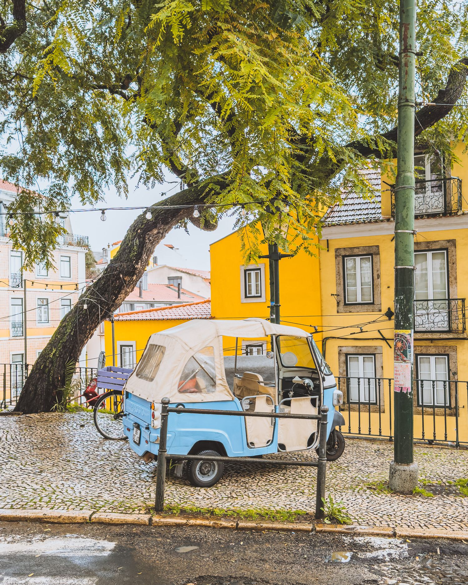 Cobblestone street with vintage cars parked under yellow buildings and green trees.
