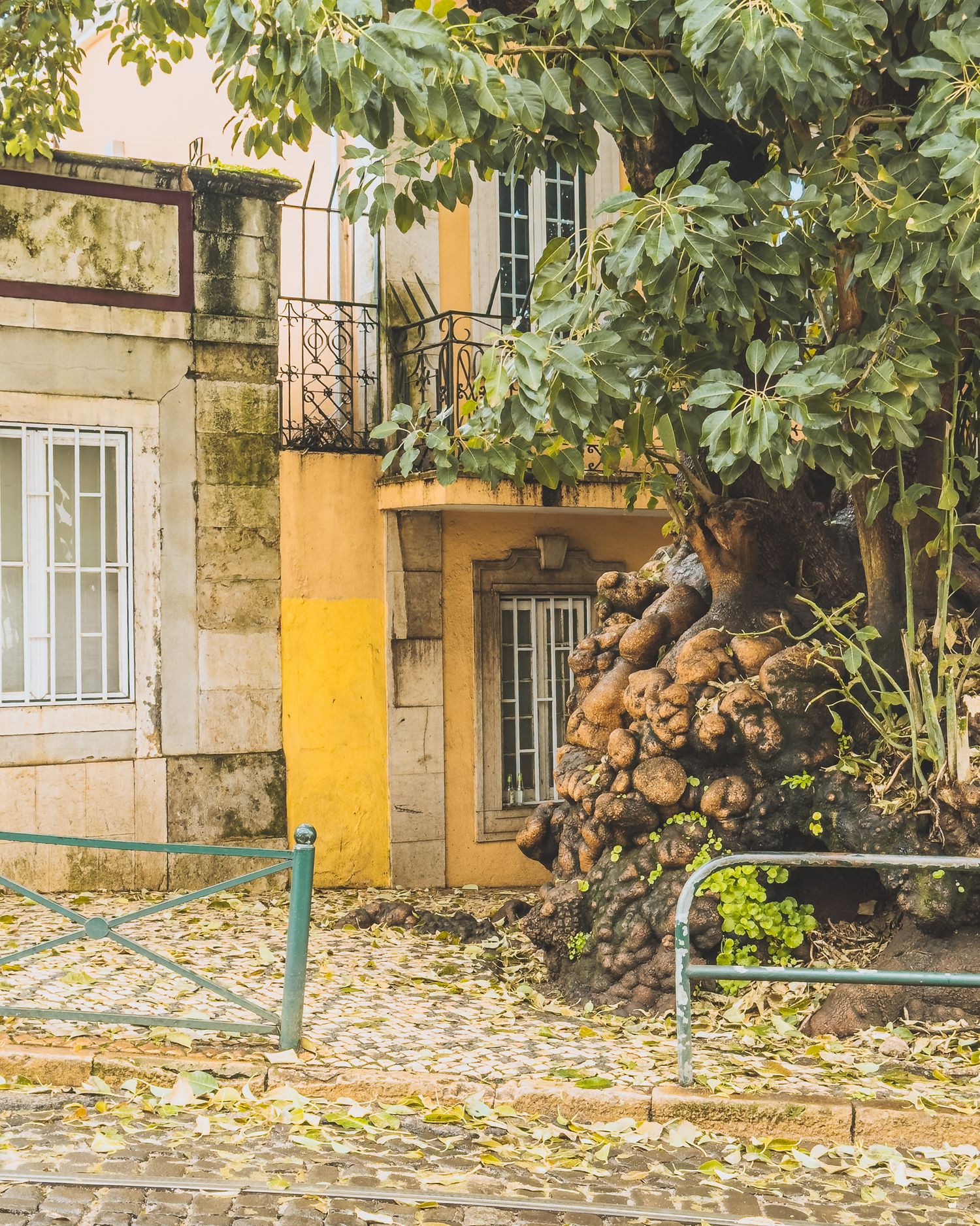 Fallen autumn leaves scattered on cobblestone path next to yellow building with trees.