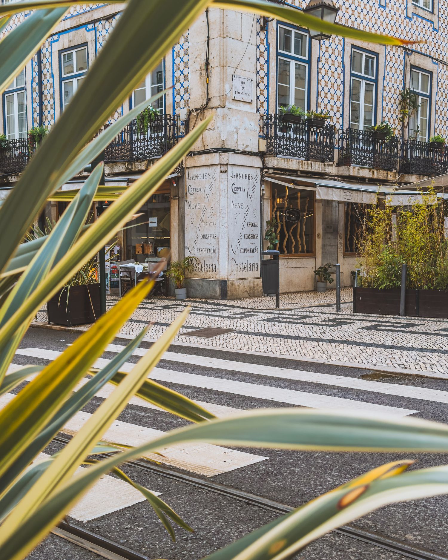 Palm fronds frame a traditional Portuguese street with decorative tile patterns.
