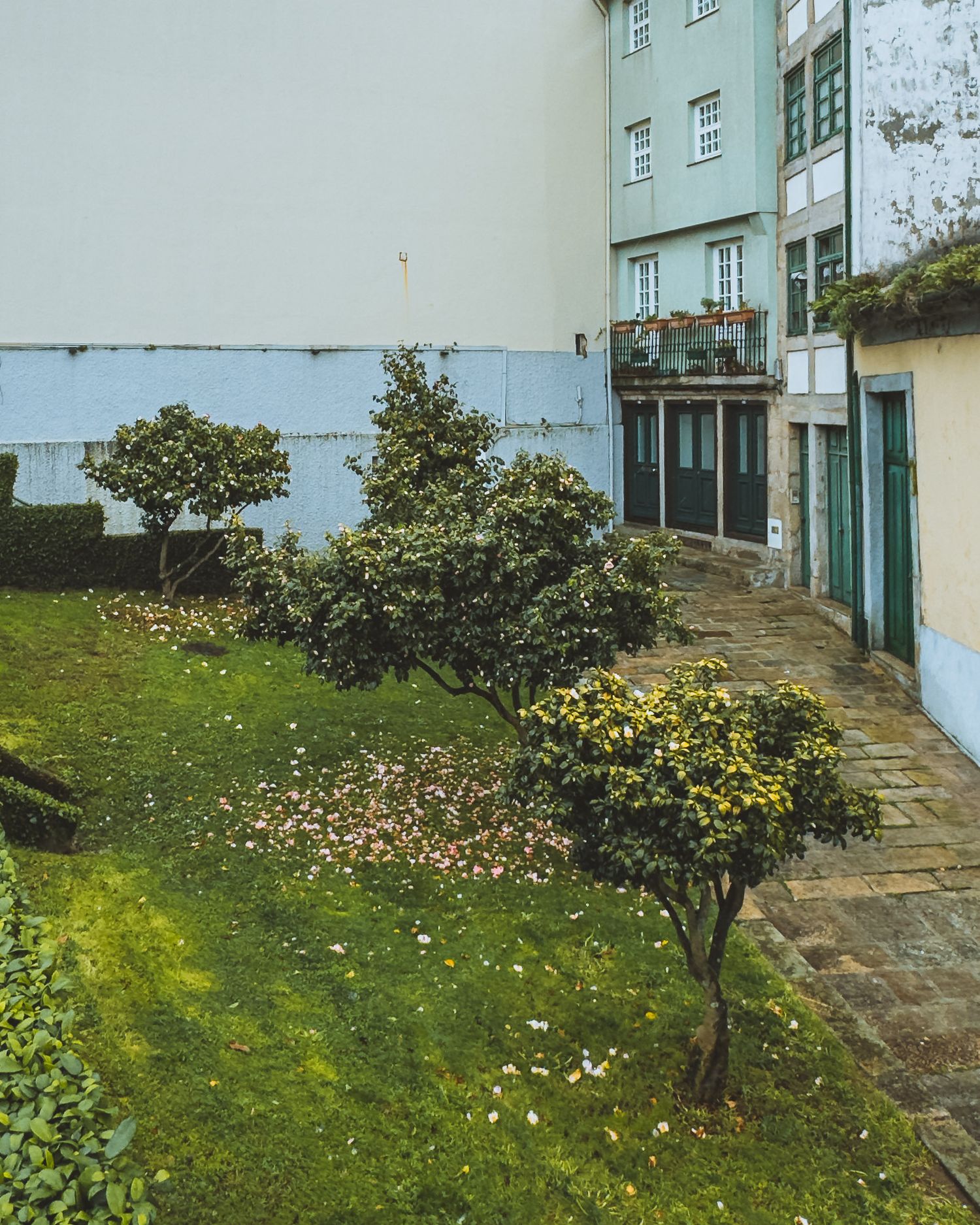 Modern residential building with green lawn and small trees along a paved walkway.